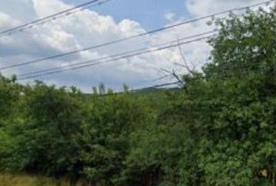 Teren intravilan Furesti, jud. Arges - ID R1965298 - 9