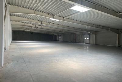 Hala de vanzare, situata in Sanandrei, judetul Timis - 8