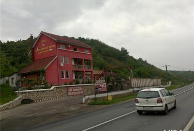 Teren de 46000 mp, în Radna - 1