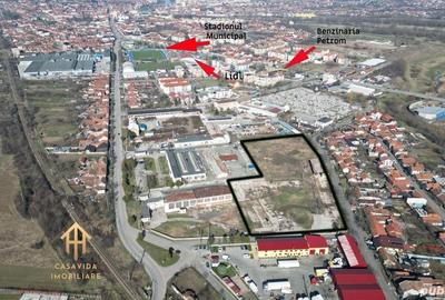Teren intravilan de 13.418 mp in Lugoj: Oportunitate investi?ionala! - 3