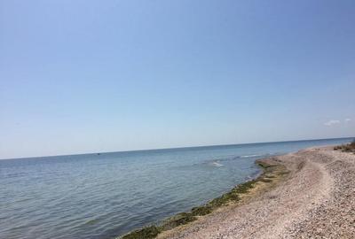 Teren de 5000 mp, în Central - 1