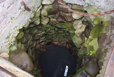 Casă în Fițcău - 5