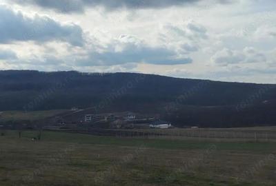 Teren de 5487 mp, în Betfia - 2