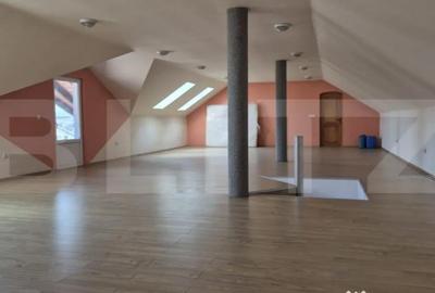 Casă cu 7 camere cu Teren 5000 Mp în Năsăud - 10