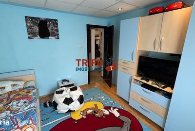 Apartament cu 2 camere decomandat în Ampoi 3 - 9