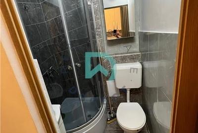 Camera Florilor, Brasov - 12