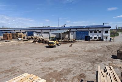 Spațiu comercial, de 43,000 mp, în Voila - 14