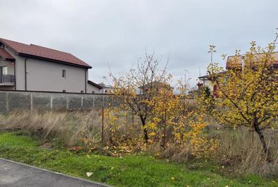 Teren intravilan, 457 mp, zona Parc Romanescu - 2