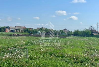 Casa individuala cu curte individuala si gradina - Zona Gai - 16