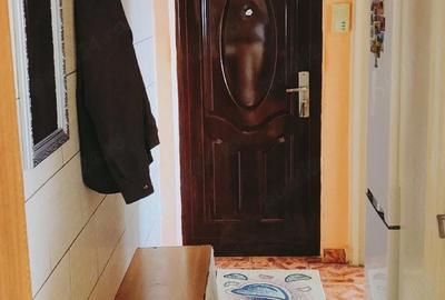 Apartament cu 2 camere semidecomandat în Lugoj - 9