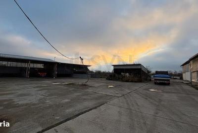 Teren de 10316 mp, în Tunari - 4