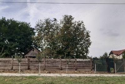 Teren de 1500 mp, în Nădab - 2