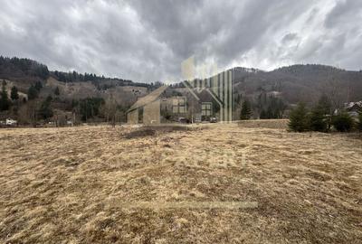 TEREN INTRAVILAN 500 MP SATIC- RUCAR - 13