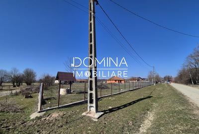 Casă individuală cu 3 camere cu Teren 8658 Mp în Scoarța - 9