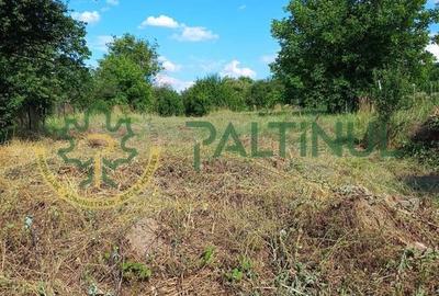 Casă cu teren 1.647 mp de vânzare - Hașag, Sibiu - 4