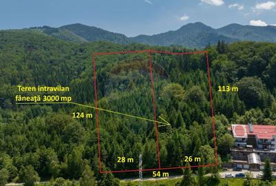 Teren de 3000 mp, în Dâmbul Morii - 2