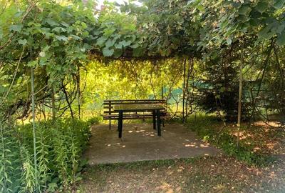 Casă 122 mp+garaj,  teren 1771 mp-Campina aproape de școala centrală! - 35