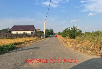 TEREN DE CASA INTRAVILAN, Gradistea,IF, la 20 de minute de Bucuresti 37000 E - 1