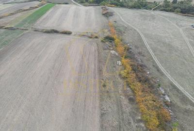 Teren arabil Intravilan 11600mp | LmP | Remetea Mare | COM 0% Teren arabil Intravilan 11600mp | LmP | Remetea Mare | COM 0% - 4