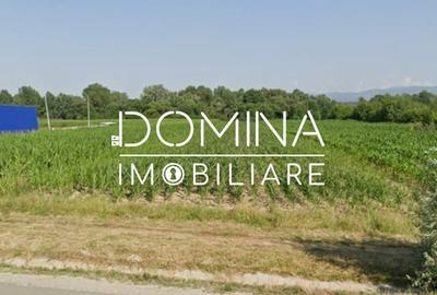 Teren Construcții de 5324 mp, în Nord - 1