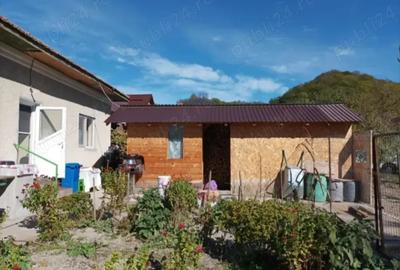 Casa Pausesti Madlasi - 6