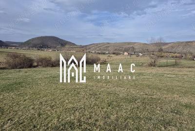Teren extravilan | Investitie | Orlat - 1