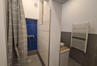Casă individuală cu 18 camere cu Canalizare în Calea Călărașilor - 15