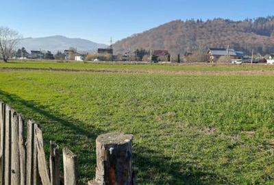 Teren de vanzare Gura Humorului , Bucovina - 4