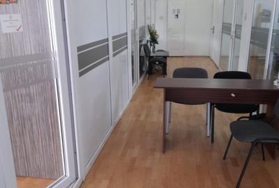 Spațiu generos Timișoara Spațiu generos Timișoara - 7