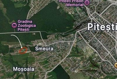 Teren Construcții intravilan de 538 mp, în Moșoaia - 1