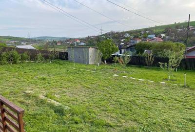 Casă cu 2 camere în Vulturi - 8