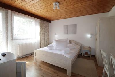 Hotel/Pensiune, 640 mp în Sinaia