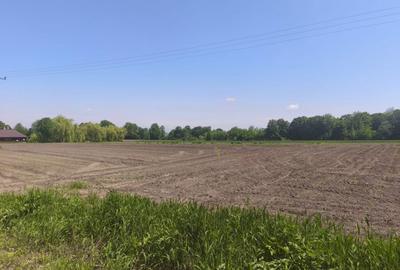 Teren de 6300 mp, în Gălănești - 3