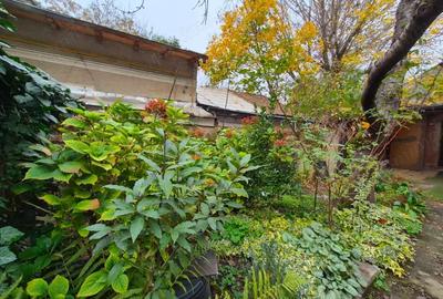 Casa parter 45mp utili ?i curte proprie langa Parcul Regina Maria! - 11