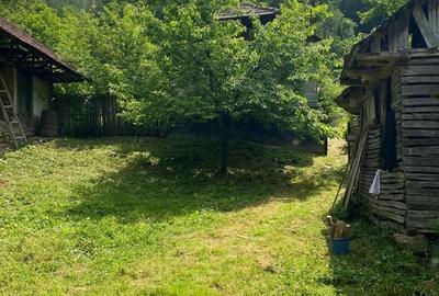 Casă cu 3 camere în Apostolache