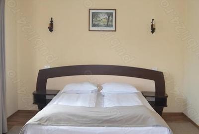 Busteni-Pensiune de vanzare - 2