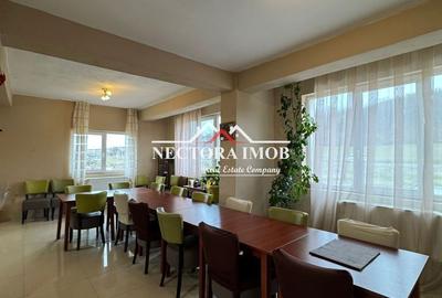 Spațiu comercial, de 800 mp, în Băile Felix - 16