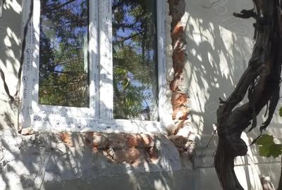 Vand casa batraneasca renovata, in Udupu Teleorman - 2