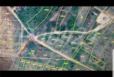 Teren de 600 mp, în Săldăbagiu de Munte - 2