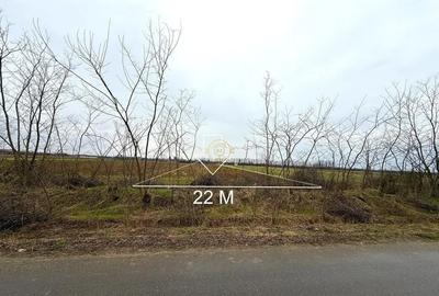 Teren în Medieșu Aurit - 5