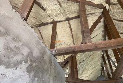 Casa de in sat Botarlau , parter si mansarda cu suprafata - 8