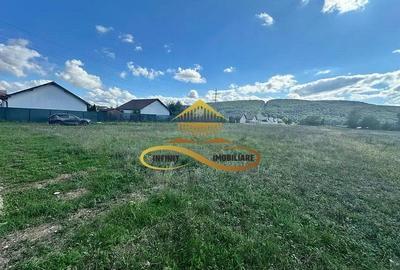 Teren intravilan de vanzare Bacau Calea Moldovei - 6