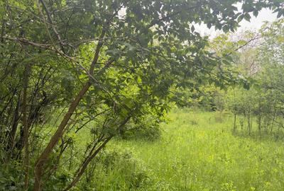 Teren Construcții intravilan de 1585 mp, în Cornu - 2