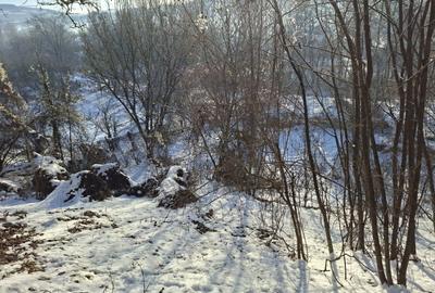 Spațiu comercial, în Dămieni - 2