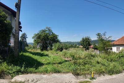 TEREN INVESTITIE ARGES - LANGA CURTEA DE ARGES TEREN INVESTITIE ARGES - LANGA CURTEA DE ARGES - 6