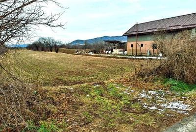 Teren de 10000 mp, în Unguriu - 2