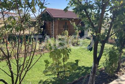 Casă individuală cu 7 camere cu Canalizare în Vasile Aaron - 22