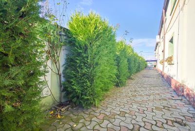 Proprietate specială, de 617 mp, în Alexandriei - 5