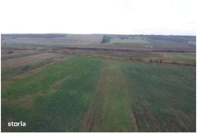 Spațiu comercial, în Gura Albești - 7