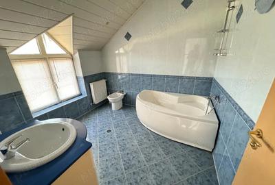 Casă cu 1 camere cu Teren 2000 Mp în Lipovei - 5